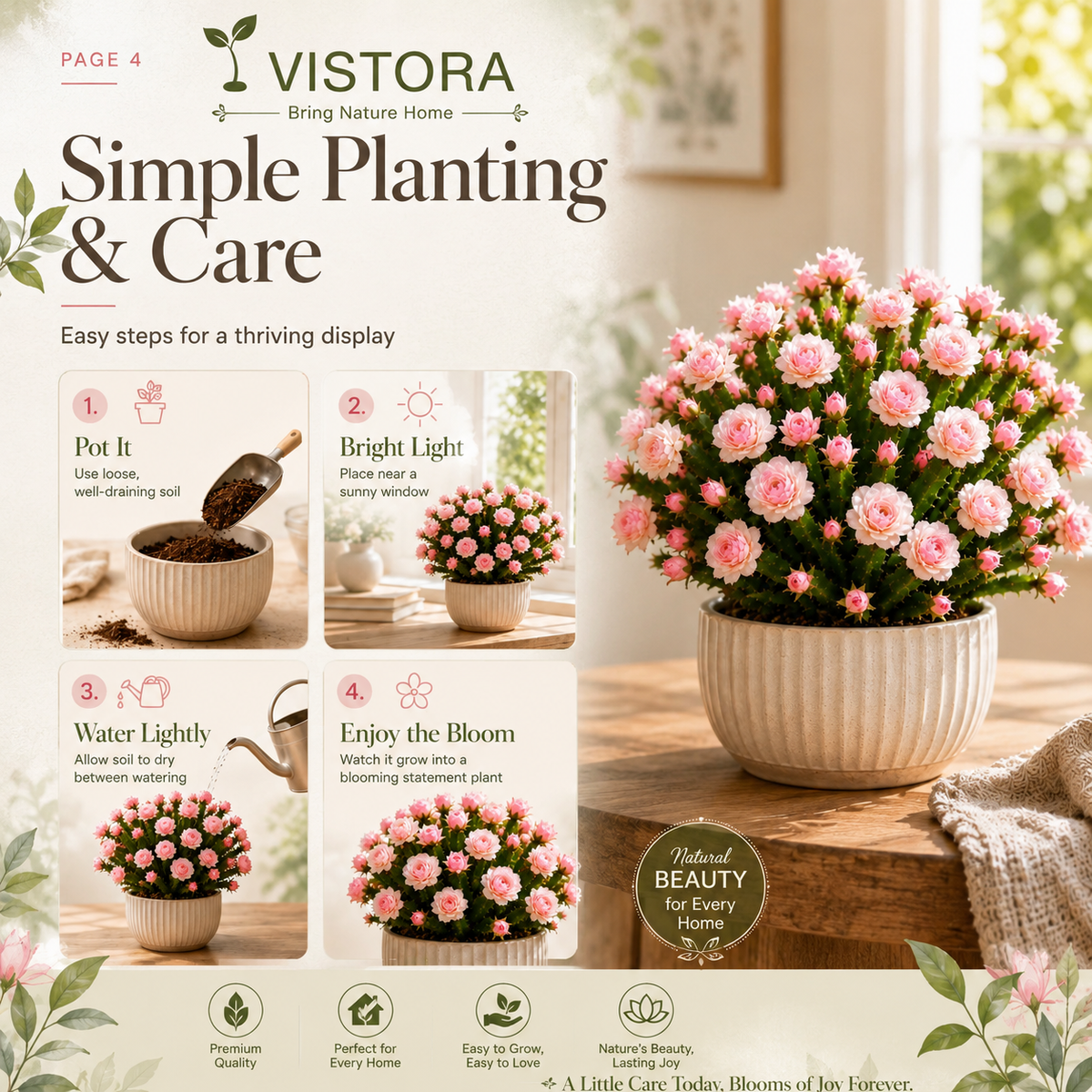 🌵🌹 Wait… Are Those Roses Growing on a Cactus? – Rare Rose Bloom Cactus• Easy-Care •perpetual bloom🌹Buy 4 Get 4 Free Bulbs🌹100gm Soil Free🌹