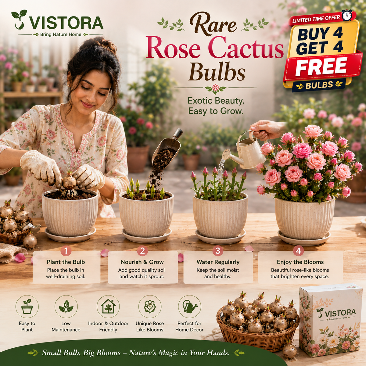 🌵🌹 Wait… Are Those Roses Growing on a Cactus? – Rare Rose Bloom Cactus• Easy-Care •perpetual bloom🌹Buy 4 Get 4 Free Bulbs🌹100gm Soil Free🌹