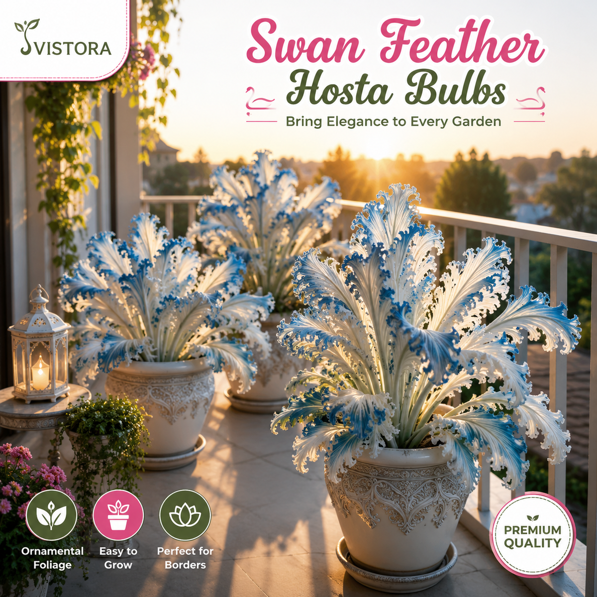 🌱Rare Swan Feather Hosta Bulbs -🦢 Graceful Foliage That Unfolds Like Swan Wings🔥Buy 6 Get 6 Free Bulbs🔥