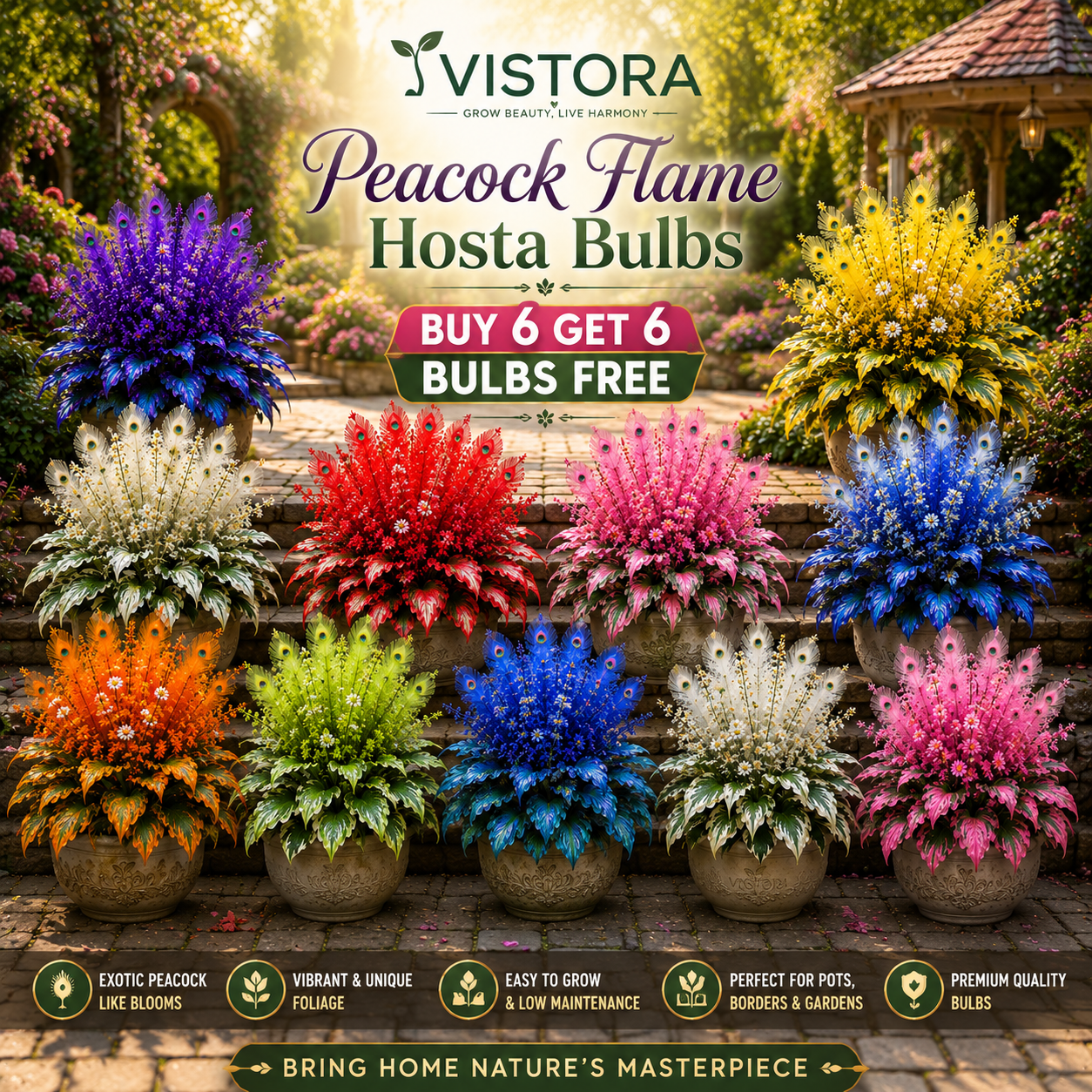 🏠🤗 Peacock Flame Hosta Bulbs💥 Stunning Colors That Brighten Any Space🔥Buy 6 Get 6 Free Bulbs🔥