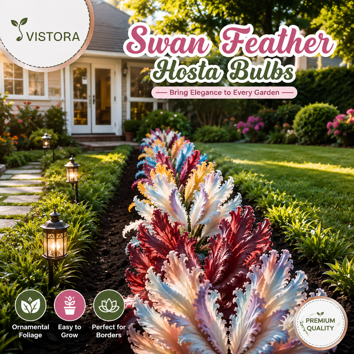 🌱Rare Swan Feather Hosta Bulbs -🦢 Graceful Foliage That Unfolds Like Swan Wings🔥Buy 6 Get 6 Free Bulbs🔥
