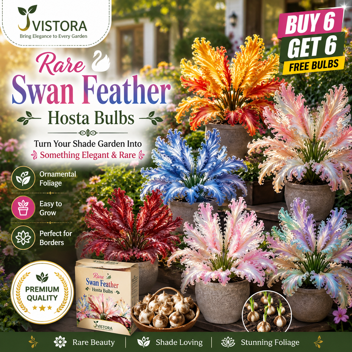 🌱Rare Swan Feather Hosta Bulbs -🦢 Graceful Foliage That Unfolds Like Swan Wings🔥Buy 6 Get 6 Free Bulbs🔥
