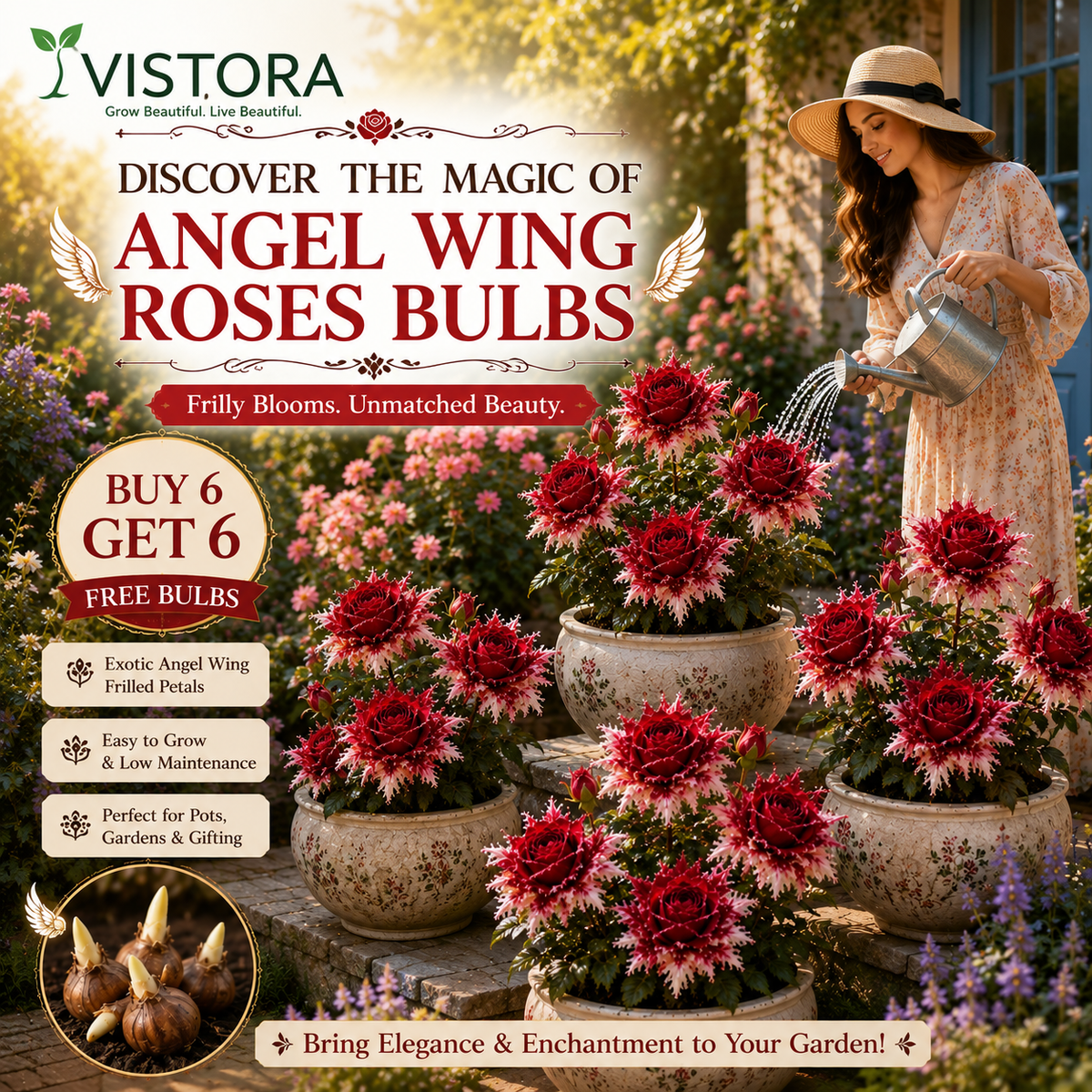🌹Discover the Magic of Angel Wing Roses Bulbs – Unique Petals, Endless Blooms🔥Buy 6 Get 6 Free Bulbs🔥