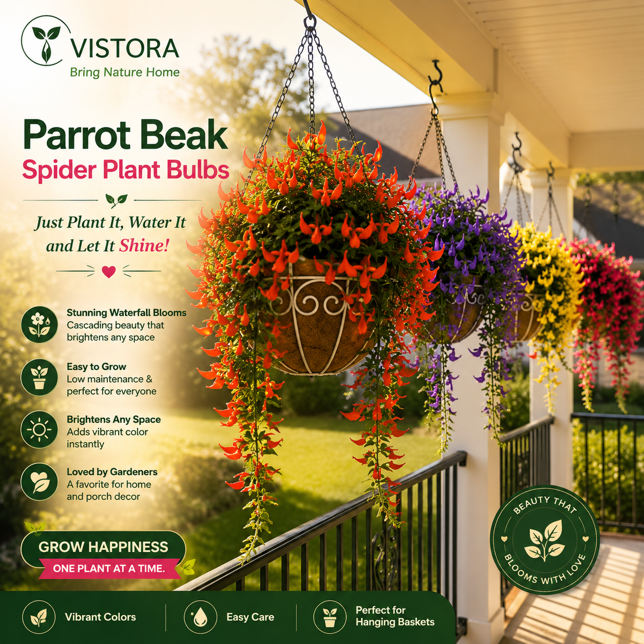 🪴🦜PARROTBEAK SPIDER PLANT BULBS - 🔥 BLOOMS FOR UP TO 300 DAYS A YEAR! 🦜Buy 6 Get 6 Free Bulbs🦜
