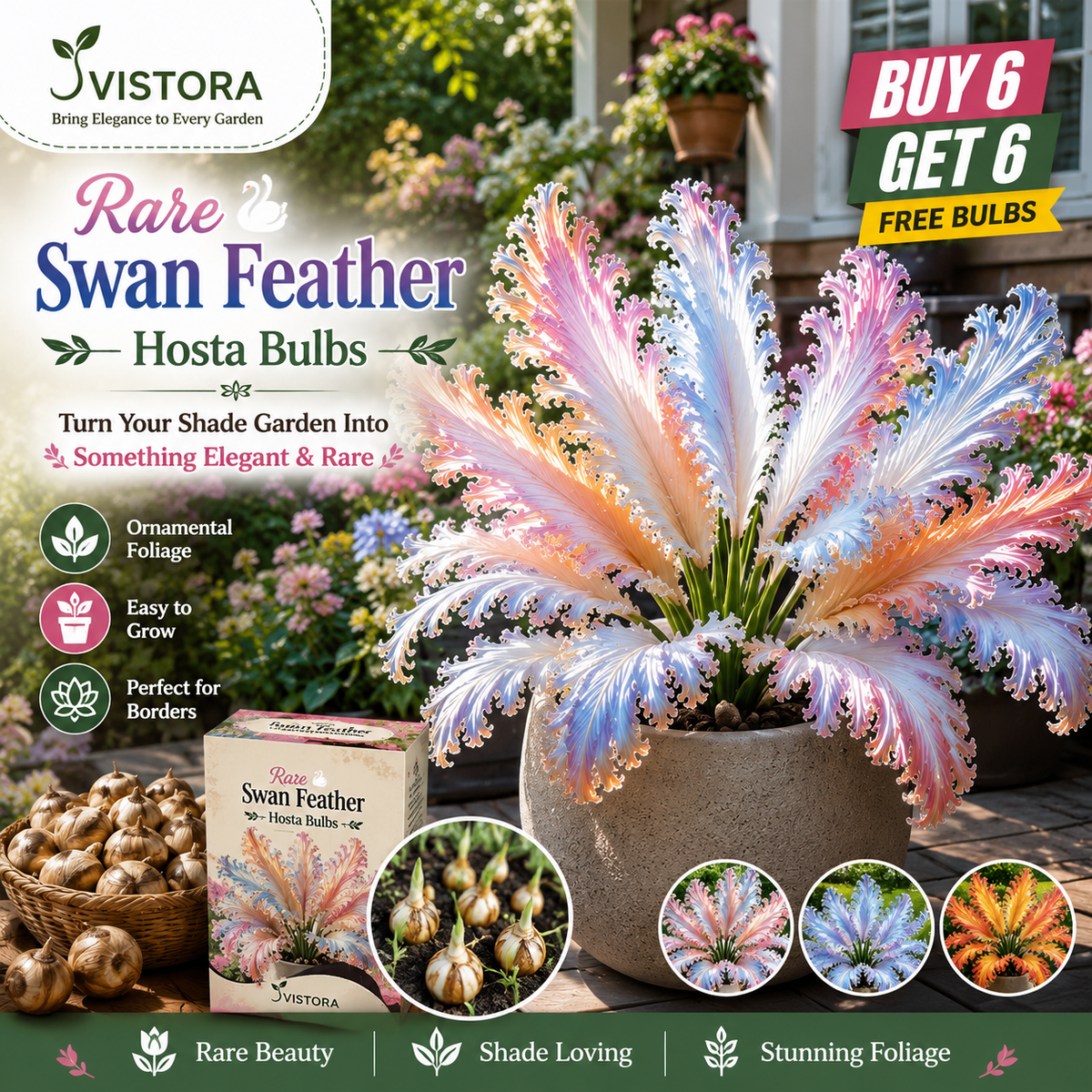 🌱Rare Swan Feather Hosta Bulbs -🦢 Graceful Foliage That Unfolds Like Swan Wings🔥Buy 6 Get 6 Free Bulbs🔥