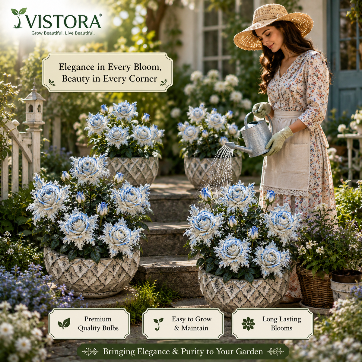 🌹Discover the Magic of Angel Wing Roses Bulbs – Unique Petals, Endless Blooms🔥Buy 6 Get 6 Free Bulbs🔥