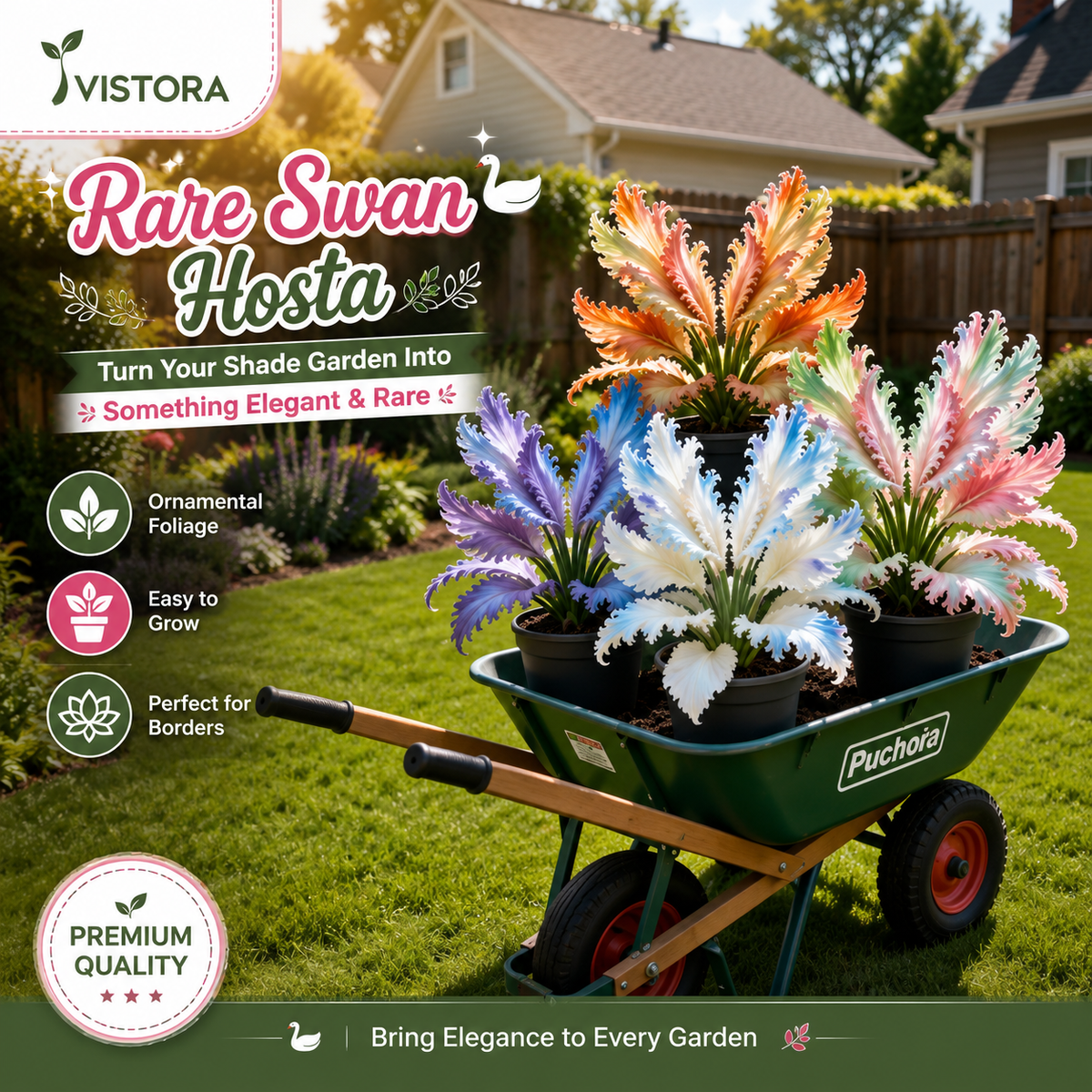🌱Rare Swan Feather Hosta Bulbs -🦢 Graceful Foliage That Unfolds Like Swan Wings🔥Buy 6 Get 6 Free Bulbs🔥