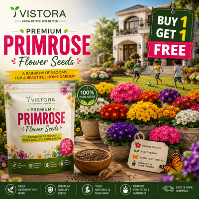 🌼Buy 1 Get 1 Free🌼 Premium Primrose Flower Seeds – Mixed Colors | FREE Gardening Gift Included 🎁