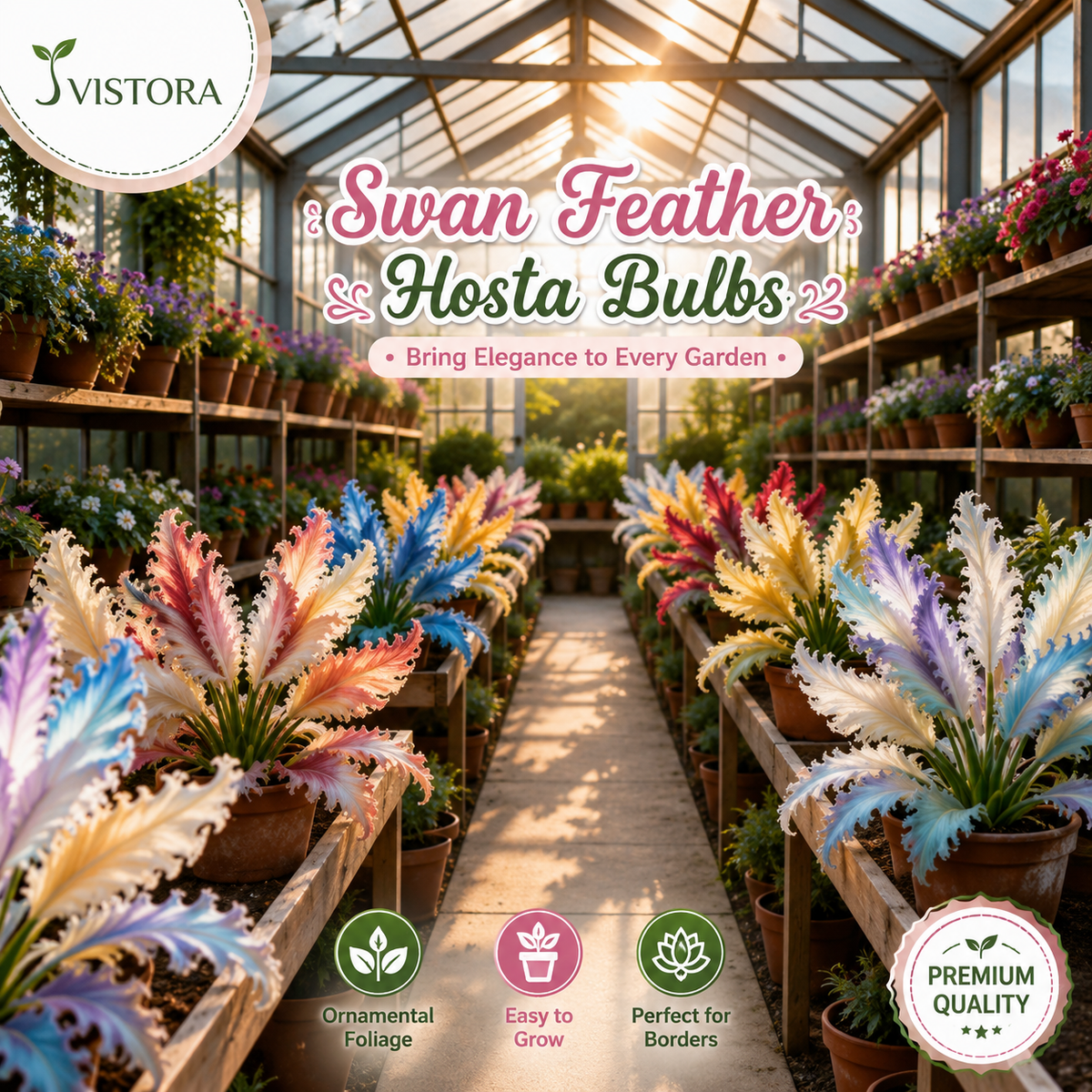 🌱Rare Swan Feather Hosta Bulbs -🦢 Graceful Foliage That Unfolds Like Swan Wings🔥Buy 6 Get 6 Free Bulbs🔥