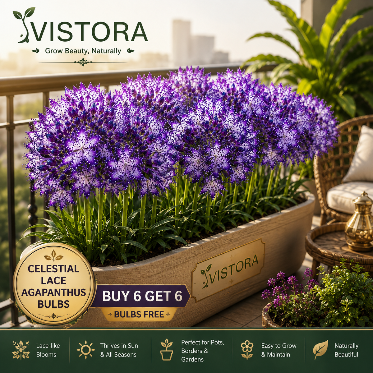 🏠🌸 Celestial Lace Agapanthus Bulbs 🌿 Elegant Blooms, Easy to Grow 🌸Buy 6 Get 6 Free Bulbs🌸