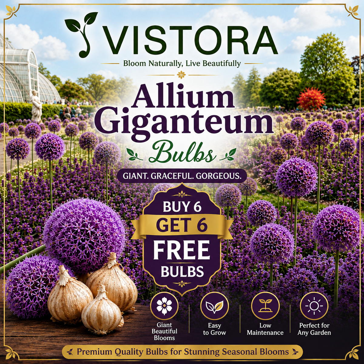 🌸 Giant Allium Bulbs 🌸 Giganteum Ornamental Onion Flower Bulbs 🌸 Buy 6 Get 6 Free Bulbs 🌸