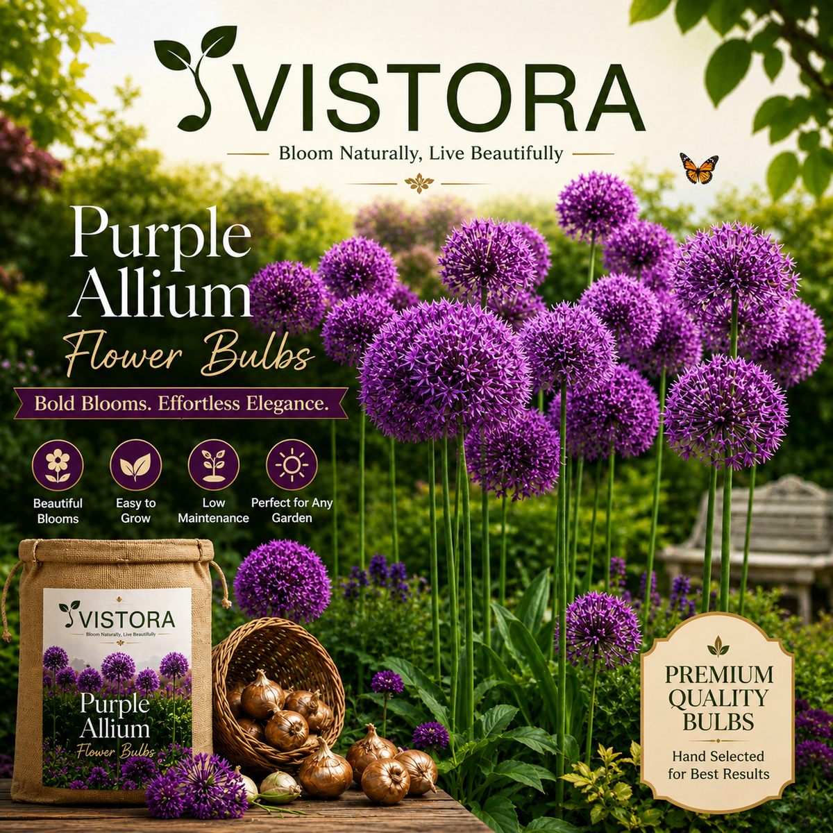 🌸 Giant Allium Bulbs 🌸 Giganteum Ornamental Onion Flower Bulbs 🌸 Buy 6 Get 6 Free Bulbs 🌸