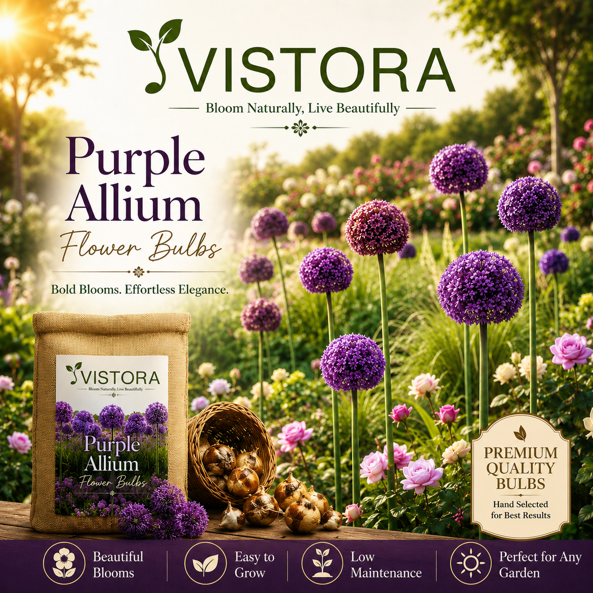 🌸 Giant Allium Bulbs 🌸 Giganteum Ornamental Onion Flower Bulbs 🌸 Buy 6 Get 6 Free Bulbs 🌸