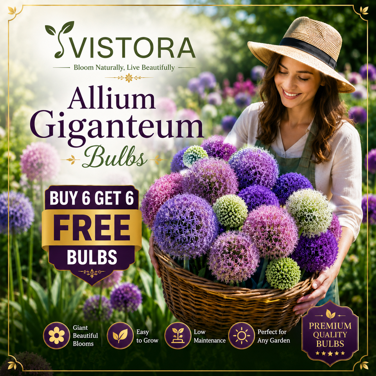 🌸 Giant Allium Bulbs 🌸 Giganteum Ornamental Onion Flower Bulbs 🌸 Buy 6 Get 6 Free Bulbs 🌸