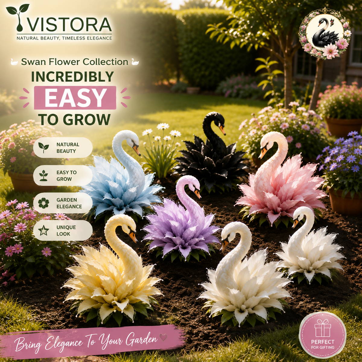 🦢SWAN FLOWER COLLECTION BULBS - TURN YOUR GARDEN INTO A LIVING SWAN PARADISE🌼Buy 6 Get 6 Free Bulbs🌼