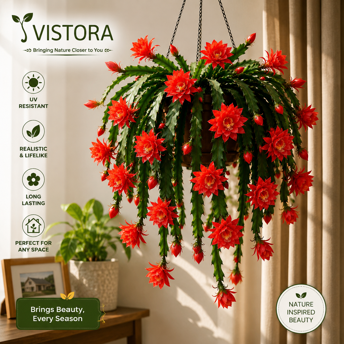💫 Rare Epiphyllum Orchid Cactus Bulbs 🌸 The Rare Flower Everyone Stops to Admire 🔥Buy 6 Get 6 Free Bulbs🔥