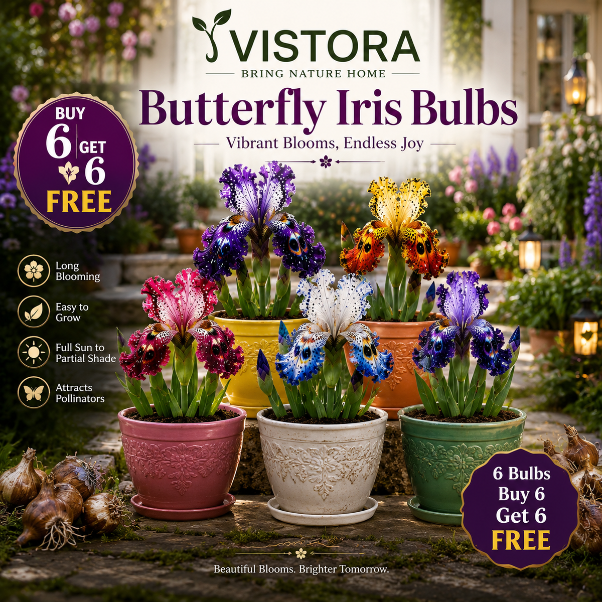 ✨✨Butterfly Iris Bulbs - ✨Grow Your Magical Garden Showstopper ✨ | 🌸 Buy 6 Get 6 Free Bulbs🌸