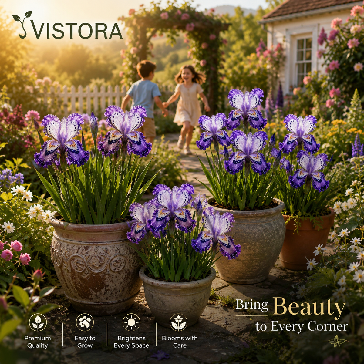 ✨✨Butterfly Iris Bulbs - ✨Grow Your Magical Garden Showstopper ✨ | 🌸 Buy 6 Get 6 Free Bulbs🌸