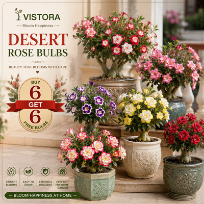 🌵🌺DESERT ROSE BULBS🔥Buy 6 Get 6 Free Bulbs🔥