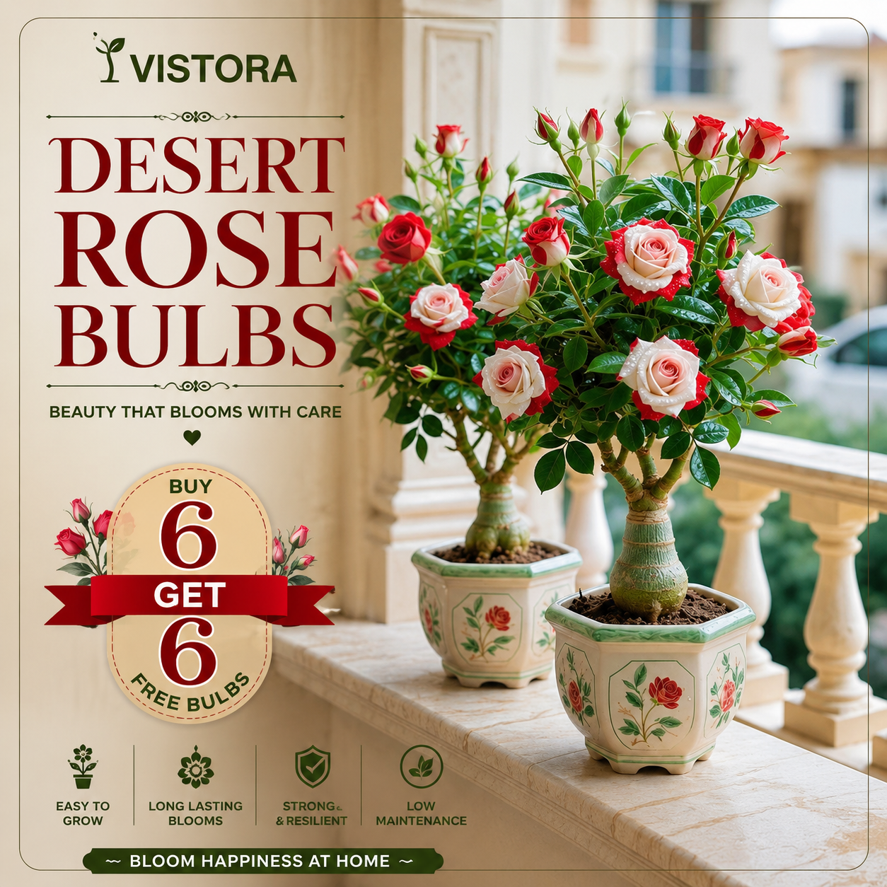 🌵🌺DESERT ROSE BULBS🔥Buy 6 Get 6 Free Bulbs🔥