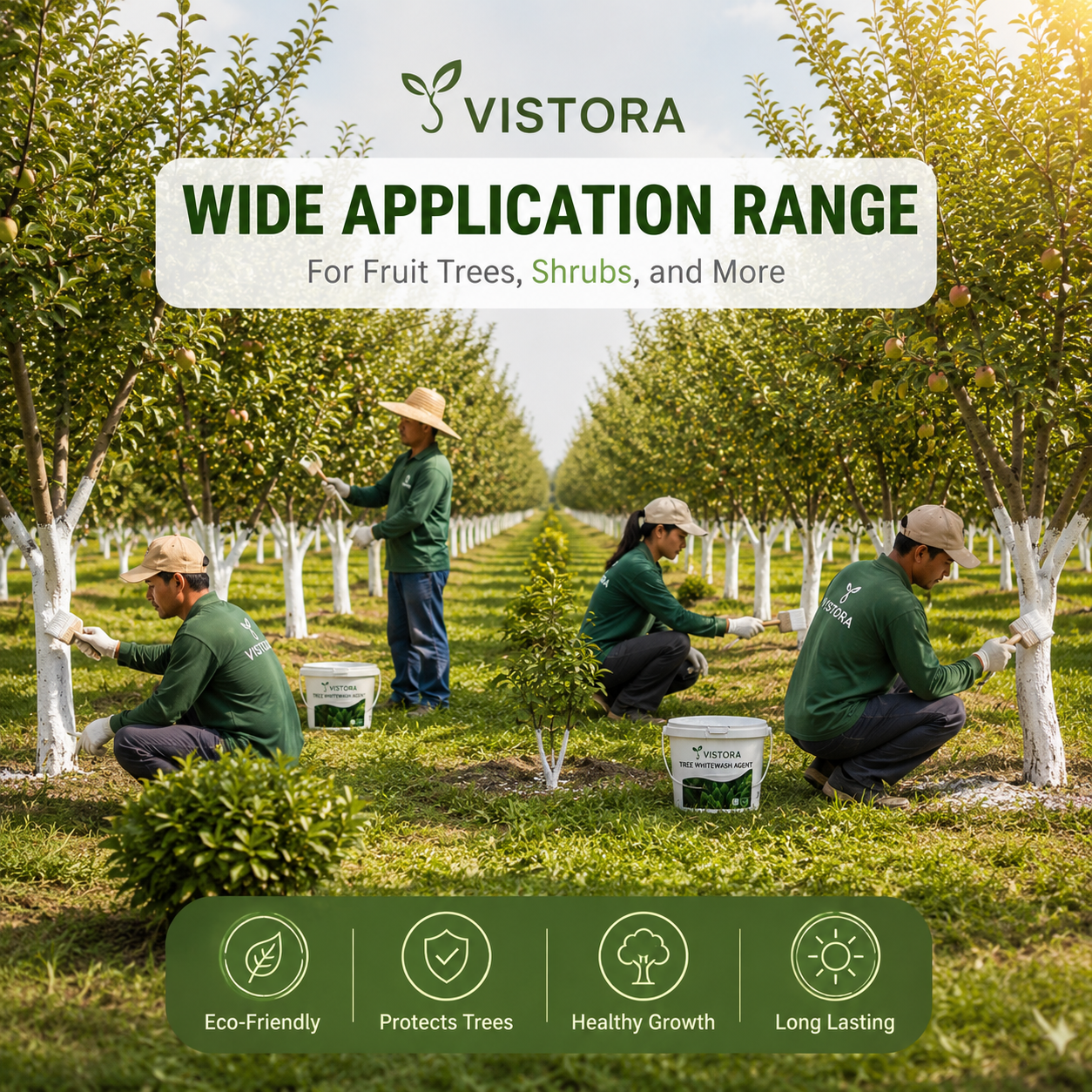 Exclusive Offer💥Long-Lasting Tree Whitewash Agent 🔥 Buy 1 Get 1 FREE 🔥