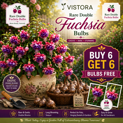 🌸 Rare Double Fuchsia Bulbs – Beautiful Shade-Loving Flowering Plants🔥Buy 6 Get 6 Free Bulbs🔥