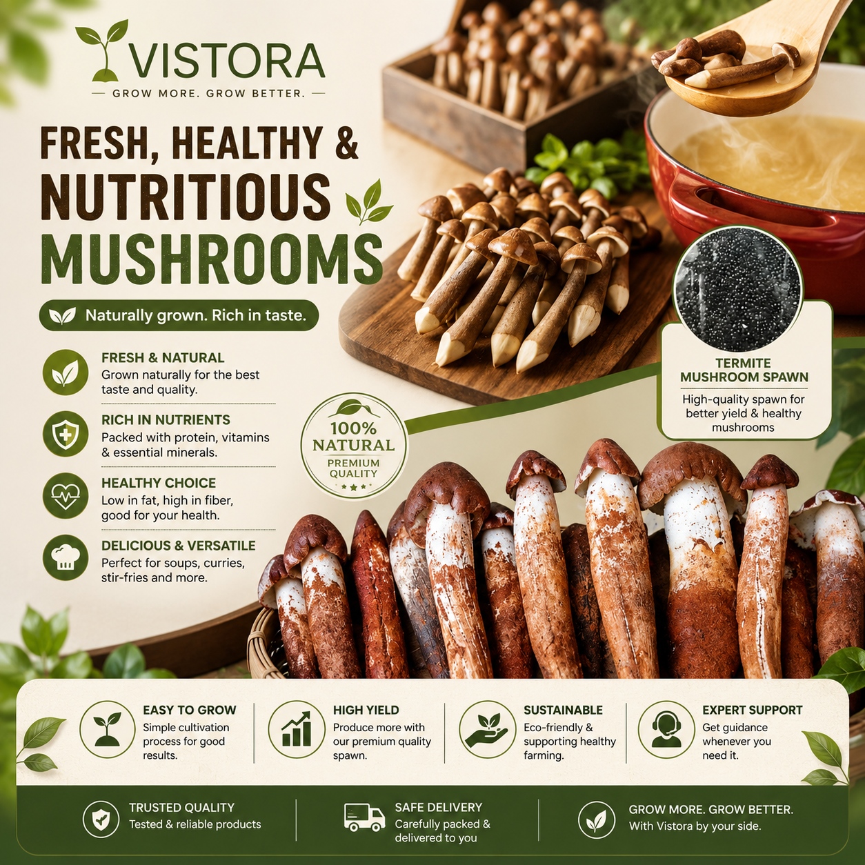 🥳2026 HOT SALE🥳💞50K+ SOLD!✨Premium Organic Mushroom Harvest Grow Kit Seeds – Buy 1 Get 1 Free Special Pack