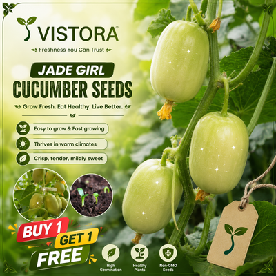 🔥Buy 1 Get 1 Free🔥Jade Girl Cucumber seeds "Golden Boy & Jade Girl" – With Plant Growth Supplement Free