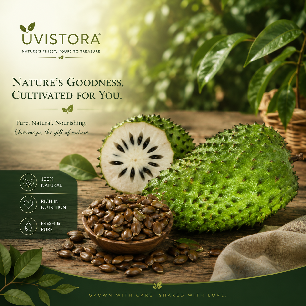 💥 Buy 1 Get 1 Free 💥🌸 Organic Soursop (Graviola) Seeds – Non-GMO Heirloom Tropical Fruit seeds