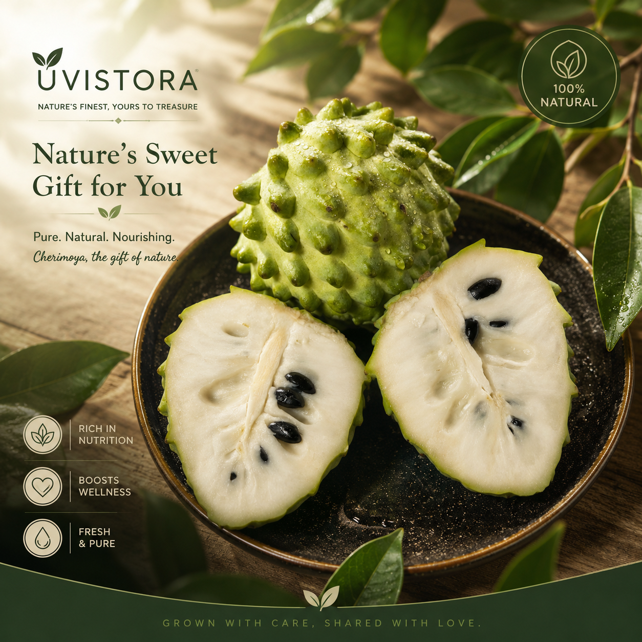 💥 Buy 1 Get 1 Free 💥🌸 Organic Soursop (Graviola) Seeds – Non-GMO Heirloom Tropical Fruit seeds
