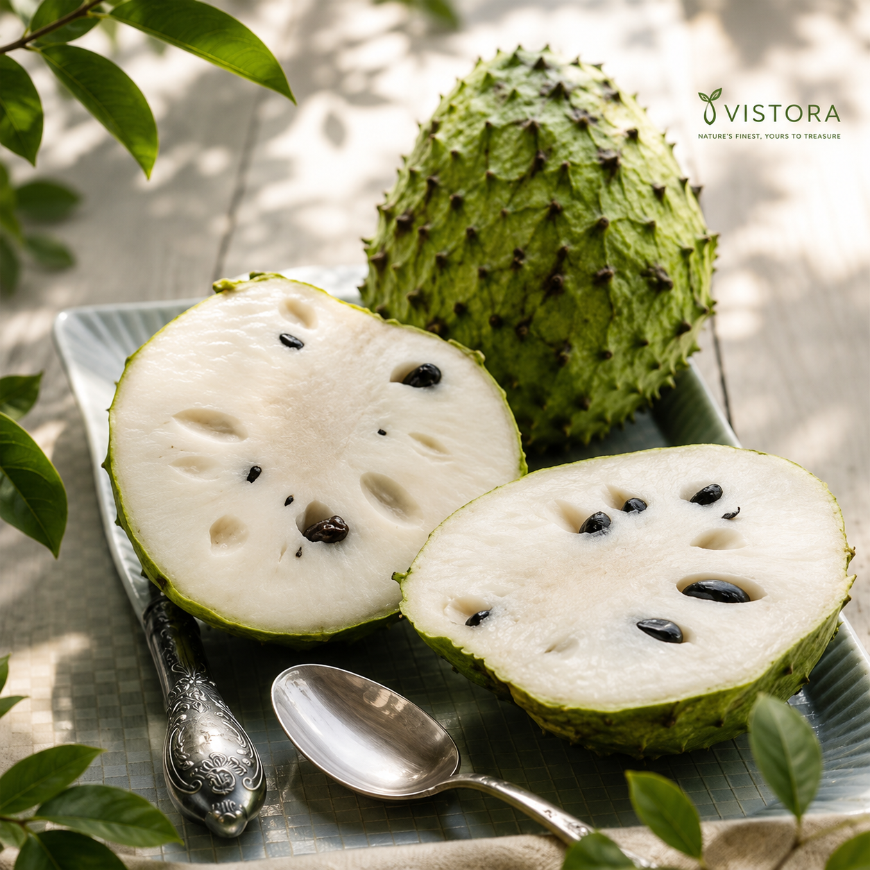 💥 Buy 1 Get 1 Free 💥🌸 Organic Soursop (Graviola) Seeds – Non-GMO Heirloom Tropical Fruit seeds