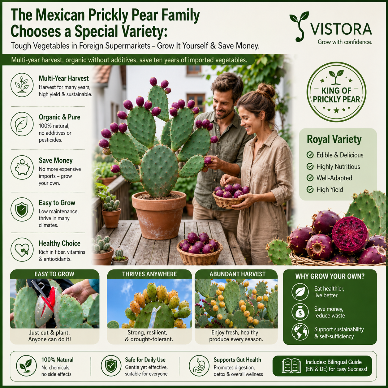 🔥Buy 1 Get 1 Free🔥🍈 Fruit Cactus Seeds 🍈 Edible, nutritious fruits 🌵Easy to grow & drought-tolerant ⚡Fast growth & low pest risk