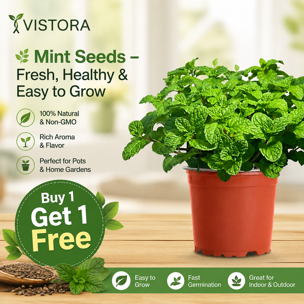 🌿 Mint Seeds – Fresh, Healthy & Easy to Grow | 🔥Buy 1 Get 1 Free🔥