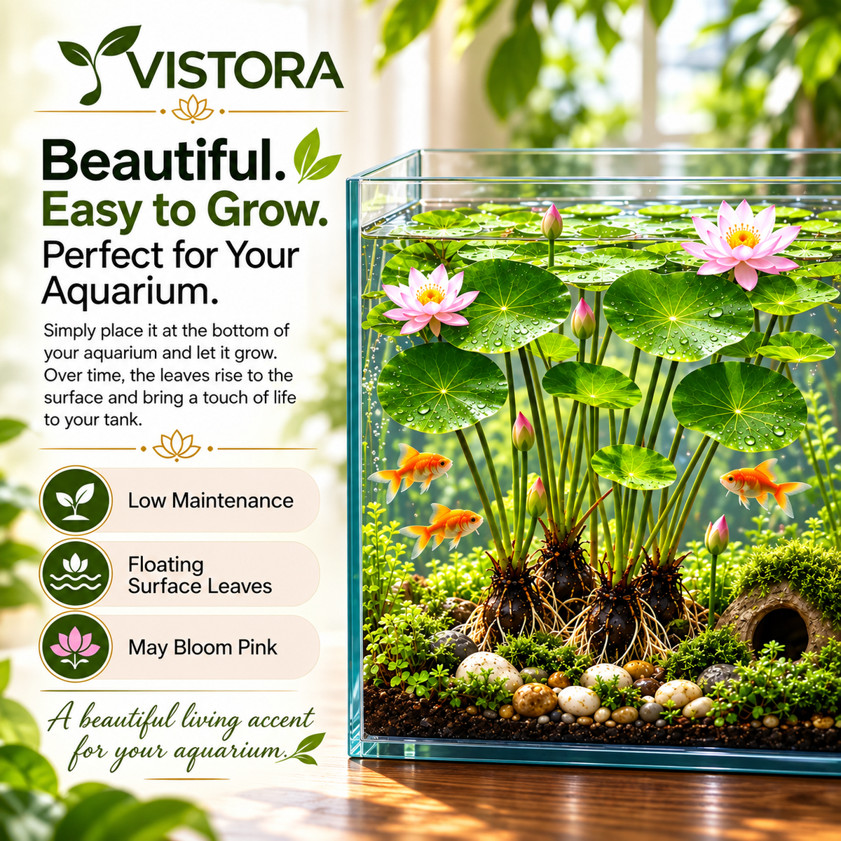 🐟 RED AQUARIUM LOTUS ROOTS BULBS🌿 TURN YOUR AQUARIUM INTO A LIVING GARDEN🌿✨ Buy 4 Get 4 Free Bulbs ✨