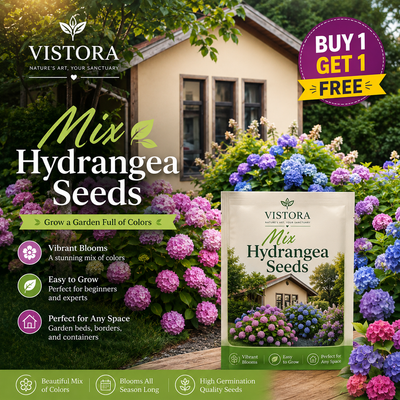 🌼Buy 1 Get 1 Free🌼🌈Mix Hydrangea Seeds - Beautiful and Hardy Perennial Seeds for Your Garden