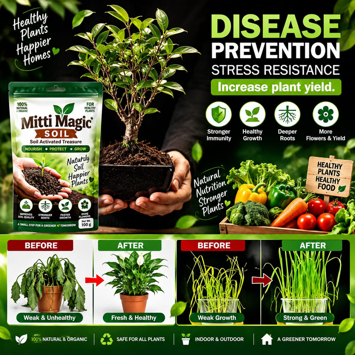 💥 HOT SALE 50% OFF 🌱 MITTI MAGIC SOIL 🌱 Mitti Se Growth Ka Magic🌱✨ Buy 2 Get 2 Free ✨